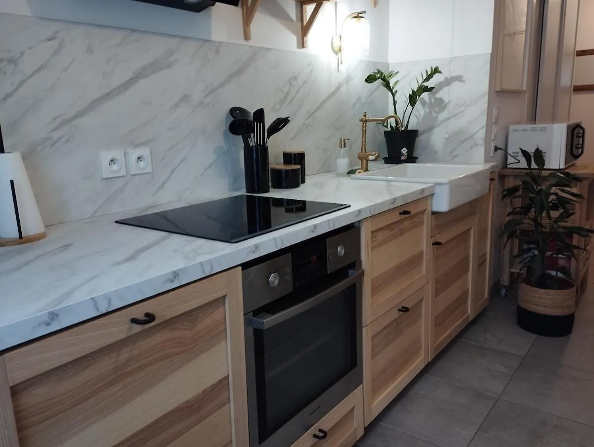 Apartment L'Ecrin Berjallien Bourgoin-Jallieu France